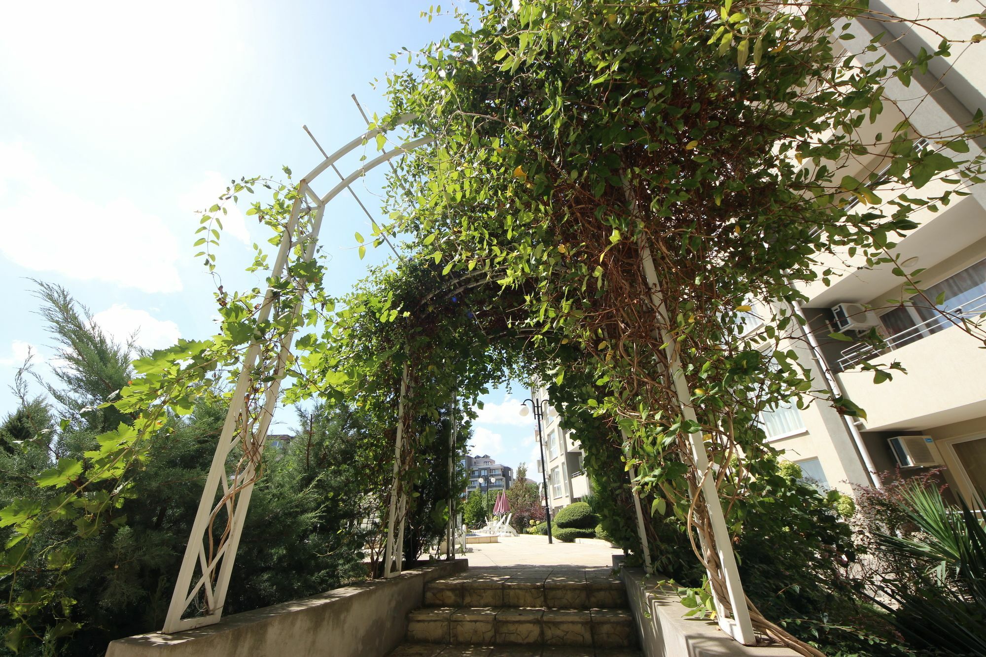 Menada Butterfly Apartment Sveti Vlas Exterior photo